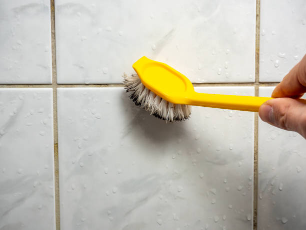 Gold River, CA Mold Removal Company
