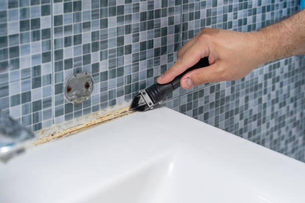 Best Home Mold Removal  in Gold River, CA
