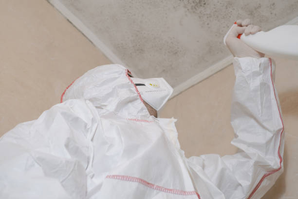Best Fast Mold Removal  in Gold River, CA